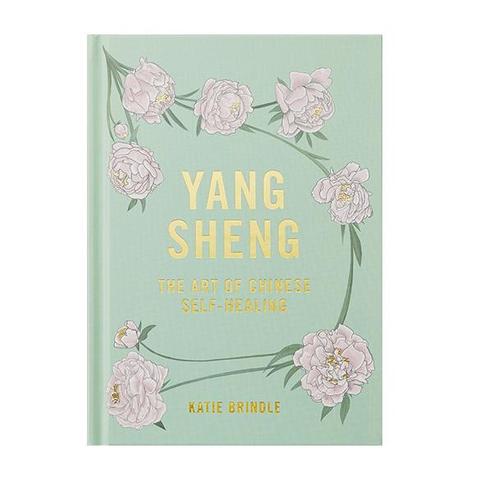 Art Chinese Self Healing Book